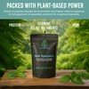 Holistic Bin Organic Astaxanthin Powder | Powerful Natural Antioxidant Supplement