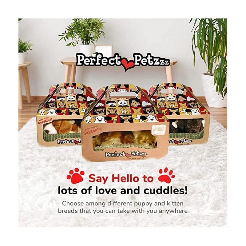 Plenty Gifts 4906 Perfect Petzzz Soft Chihuahua (Tan & White),