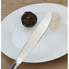 Hommp 16-Piece Stainless Steel Dinner Knives Set