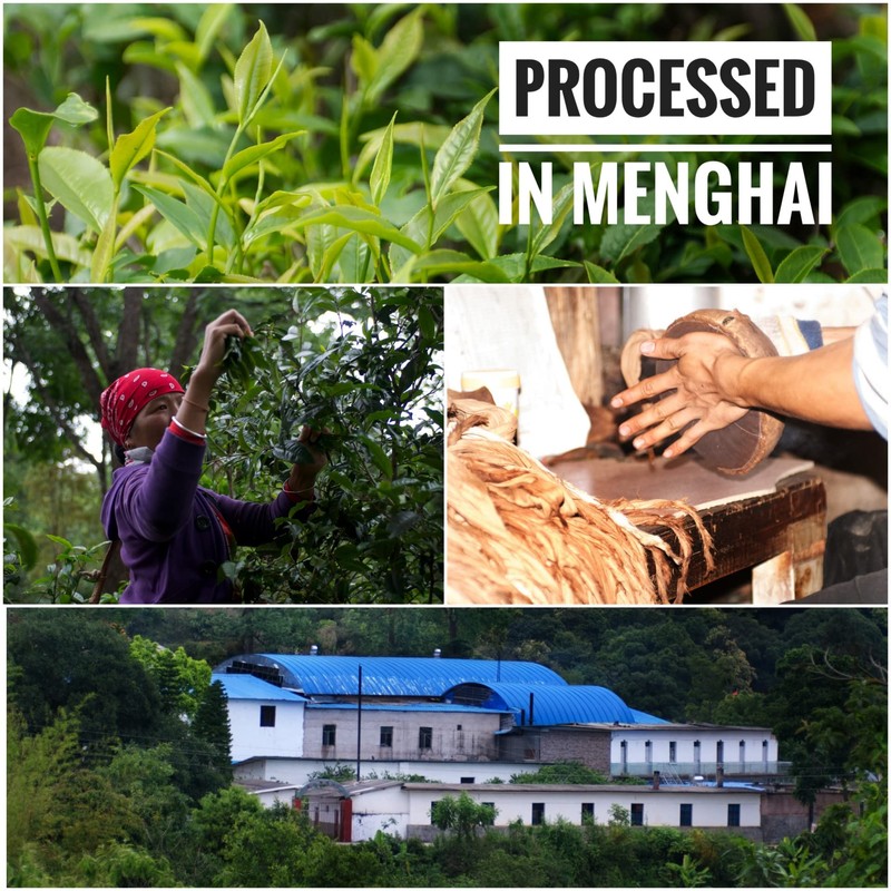Jinglong Tea Factory - Puerh Tea Brick No19 - Premium