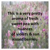 Sweet Pea Soy Wax Melts by Candles and Fizzies –