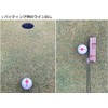Hapiraki Golf Line Golf Ball TP5 TP5X Teepee Five Series