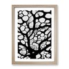 A Monochrome Tree No.6 Framed Print for Living Room Bedroom