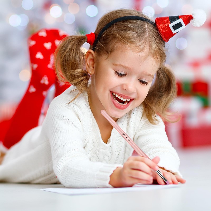 Detail Paint Brushes Set HECHUNZI 5PCS Miniature Brushes for Fine