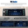 ESSGOO Single Din Car Stereo Wireless Apple CarPlay 5.1 Touchscreen