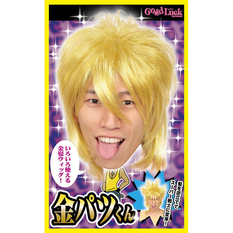 Katsurando Kinpatsu Kun Wig Costume Accessory Unisex