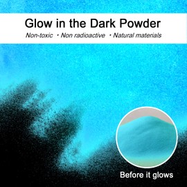 Renfio 100g Luminous Pigment Powder, Luminous Powder Resin Color Pigment, Fluorescent Pigment Paint for Epoxy Resin, Slime, Acrylic Paint, Nail, Fine Art - Fluorescent Orange