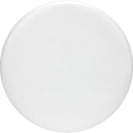 Discraft All White, Understamped ESP Zone 170-172 Gram Putt and Appraoch Golf Disc