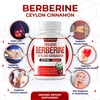 Organic Berberine with Ceylon Cinnamon 2175mg - Premium berberine supplement