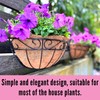 LaLaGreen Large Wall Planter Outdoor - 2 Pack, 14 Inch