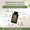 Gade Nutrition Boost Your Health Suplemento Óxido Nítrico Cápsulas Arginina