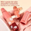 Labial Mate 4 En 1, Hidratante Y De Larga Duración