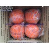 CEI QTY4 Concrete Pump 5" medium sponge ball for Schwing,