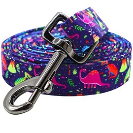 Lionheart glory Strong Dog Leash Blue Dog Leashes with Comfortable Soft Handle Dinosaurs Dog Leashes for Small Medium and Large Boy Dogs Durable
