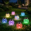 Solar Powered Transparent Glass Jar Lantern with 30 LED Lights,Hanging