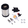 Lawn Mower Air Filter with Fuel Pump Oil Filter Fuel