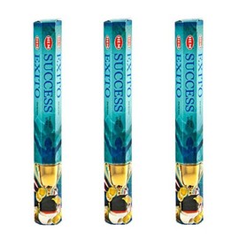 Hem Success 20 x 3 = 60 Incense Sticks