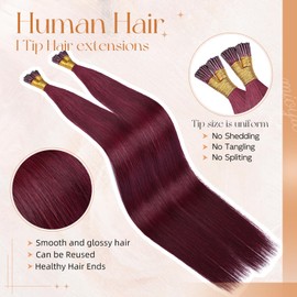 MioYio I Tip Hair Extensions Human Hair 50G/Pack Human Hair Itip Human Hair Extensions #99J Wine Red Pre Bonded I Tip Real Hair Extensions Long Straight Burgundy 20Inch