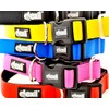 Dexil Elite Range Luxury Padded Handle Strong 1.2m 4ft Pet