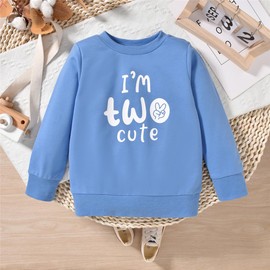 Toddler Boy 2nd Birthday Outfits Im Two Cute Sweatshirt 2 Year Old Birthday Boy Sweatshirt