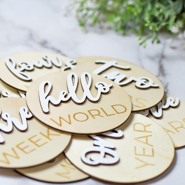 Wooden 3D Monthly Milestone Discs for Baby Photos (20 pcs