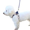 Maychan Meichan Reversible Step-in Harness & Lead Set Reversible Step