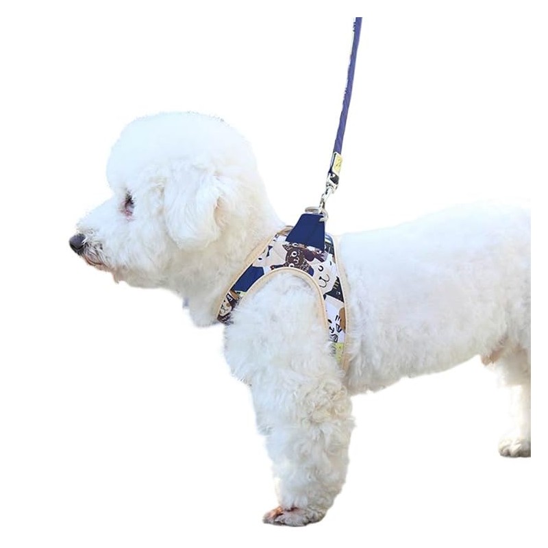 Maychan Meichan Reversible Step-in Harness & Lead Set Reversible Step