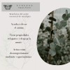 Ethereo Aceite Esencial Eucalipto, Aromaterapia, 100% Orgánico, 10ml