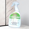 Generic Cleaning Vinegar - 1 Pack, Multi-Purpose Cleaner, Natural &