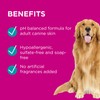 BLACKMORES PAW 2-In-1 Conditioning Shampoo 500ml