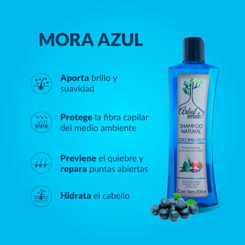 Shampoo Crecimiento De Cabello Árbol Verde 200ml Bergamota