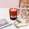 3-Pack Scented Candle Set - Rose, Oak, Smoky Vanilla -
