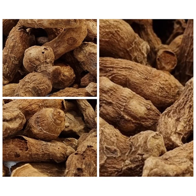 Organic Natural Pure Roasted Solomon’s Seal Roots Dried Bulk Herbs