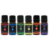 Noah Cosmetic Gung Therapy Aroma Oil 10ml Aroma oil, 1 piece, 10ml / 노아코스메틱 궁테라피 아로마 오일10ml 아로마오일, 1개, 10ml