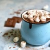 1 lb Bag Campfire Mini Marshmallows – Vanilla Flavored, Gluten