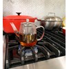 Borosilicate Glass Teapot with Removable Stainless Steel Infuser, 4 Cups