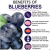 Creatine Monohydrate Gummies