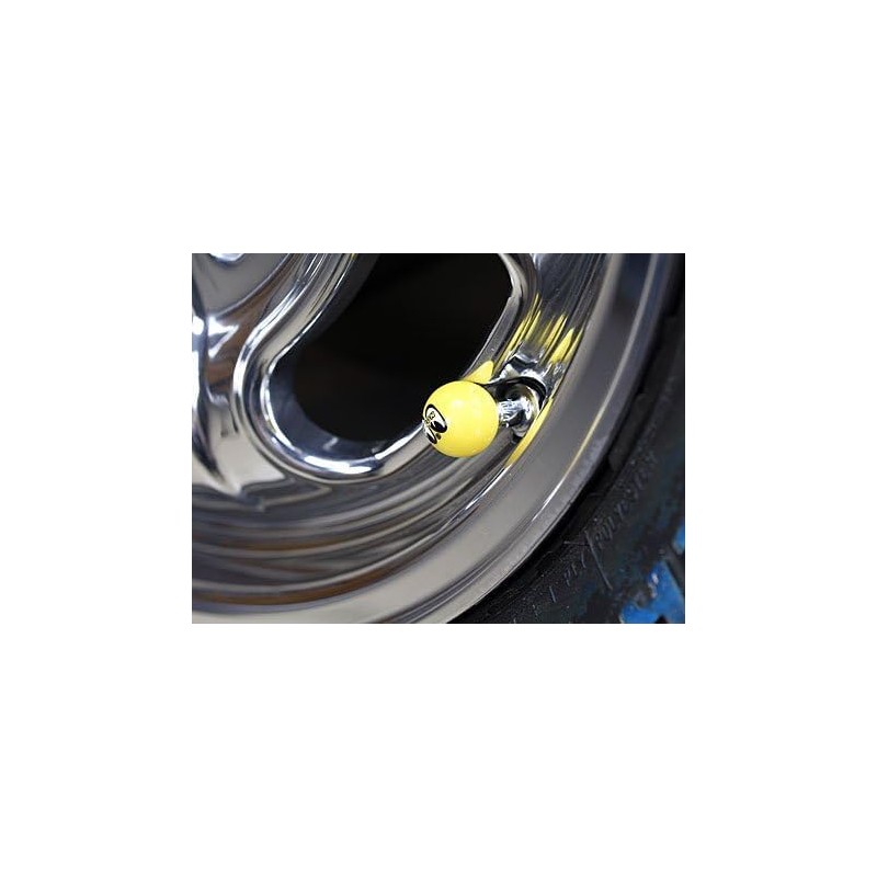 mu-naizu (Mooneyes) eabarubukyappu aibo-ru Set of 2 _ AC –