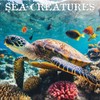 TURNER PHOTOGRAPHIC Sea Creatures 12x12 Photo Wall Calendar (26998940107)