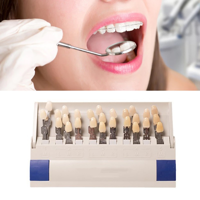 Teeth Whitening Shade Guide 29 Colors Comparison Individually Removable Tooth