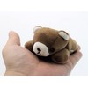 takeoff pokepuni brown bear
