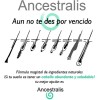 Shampo Anticaída Cabello Ancestralis