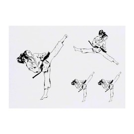 4 x 'Karate Girl' Temporary Tattoos - Water Resistant, Skin-Safe, Non-Toxic Transfers, Mixed Sizes (TO00070082)