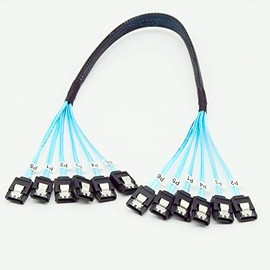 YIWENTEC High Speed 6Gbps Sata 3 iii Cable Sas Cable for Server 1M (6 sata 1M)