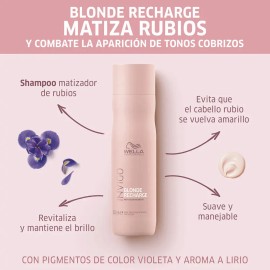 Shampoo Blonde Recharge Wella Professionals 250ml
