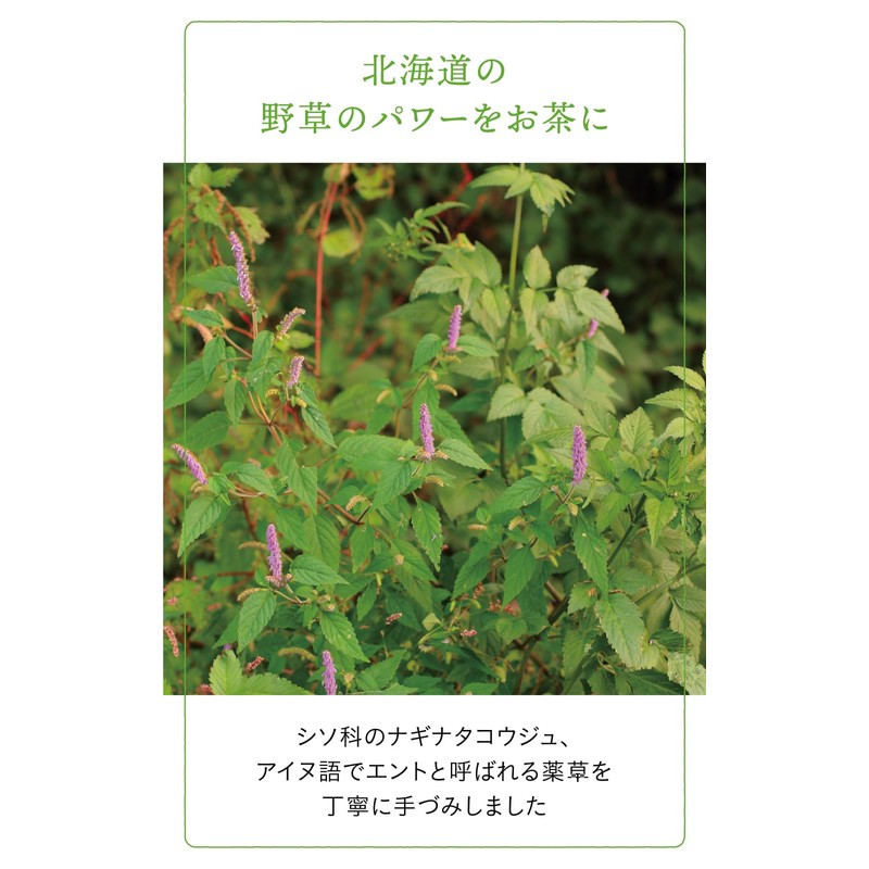 Natural Island Mori no Chaya Ent Tea 0.9 oz (24