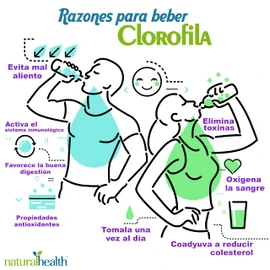 CONCENTRADO DE CLOROFILA SABOR MENTA HIERBABUENA BY NATURAL HEALTH. 1 Frascos de 500 ml C/U. (1)