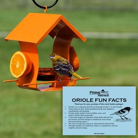 Metal Six Station Oriole Feeder Kit by Prime Retreat