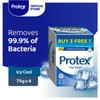 Protex Icy Cool Antibacterial Bar Soap Valuepack 75g x 4