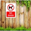 Safety First Display LTD No dogs sign - 1.2mm Rigid